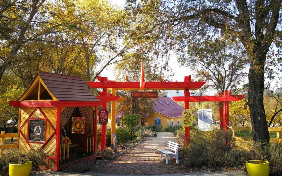 Ashram Sacred Tour – Einführung in Sivananda Yoga