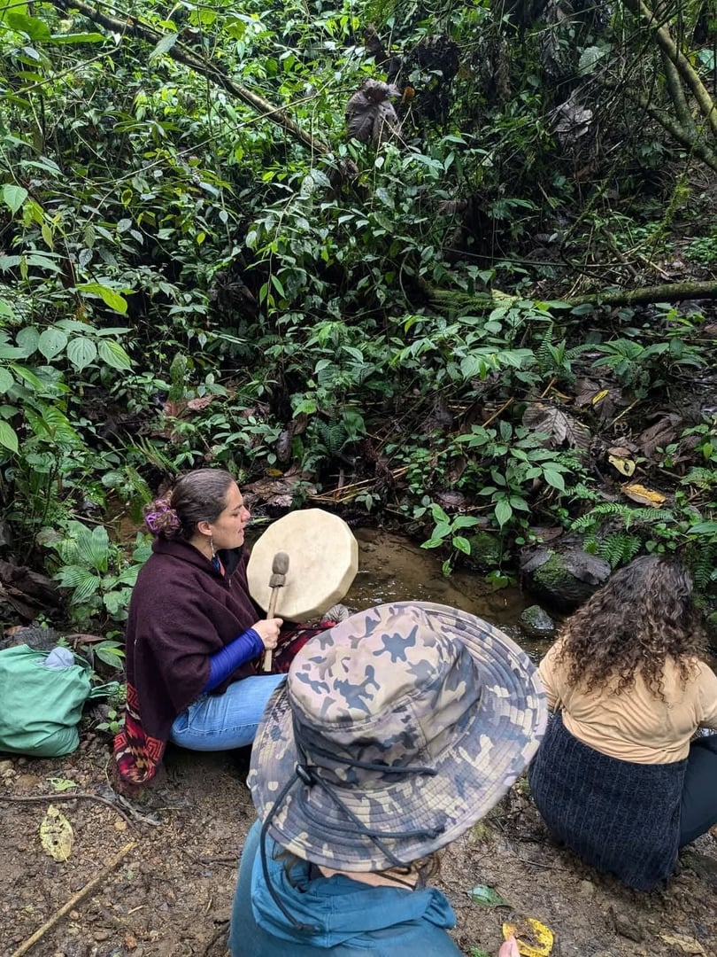3-tägiges San Pedro & Ayahuasca-Retreat