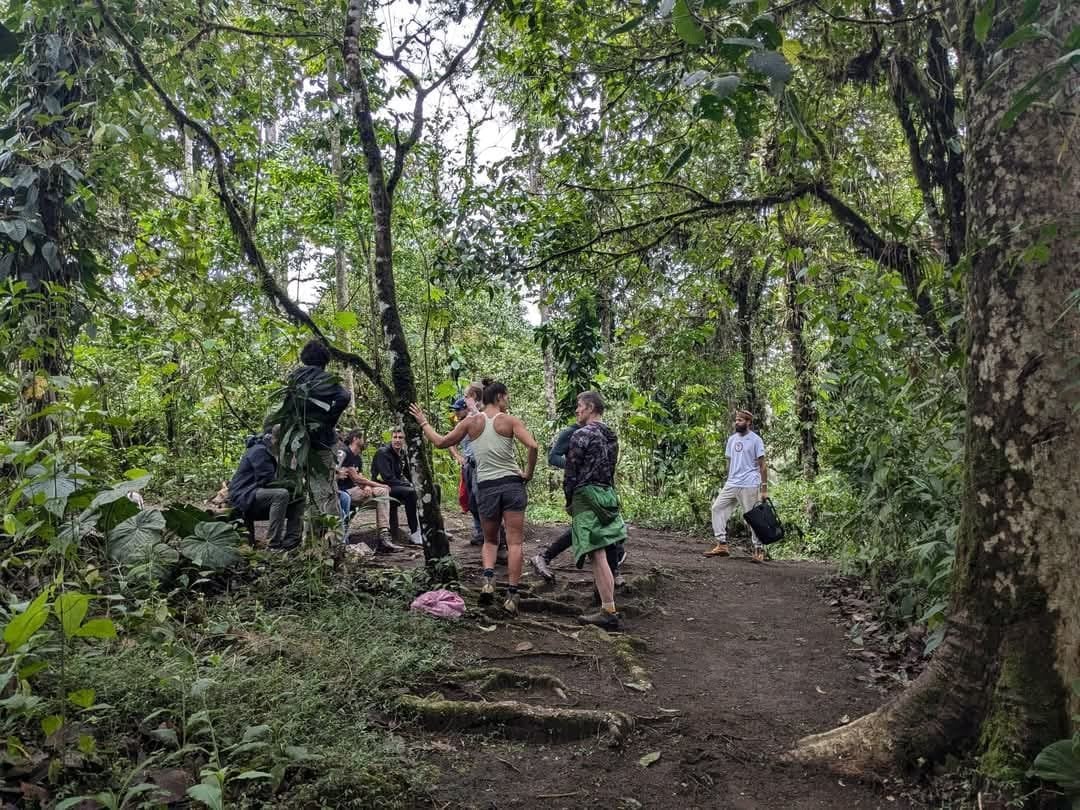 3-tägiges San Pedro & Ayahuasca-Retreat