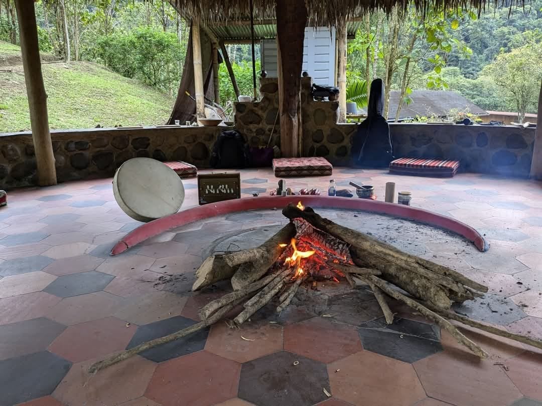 Ayahuasca-Tageszeremonie im Hayulima Natural Reserve