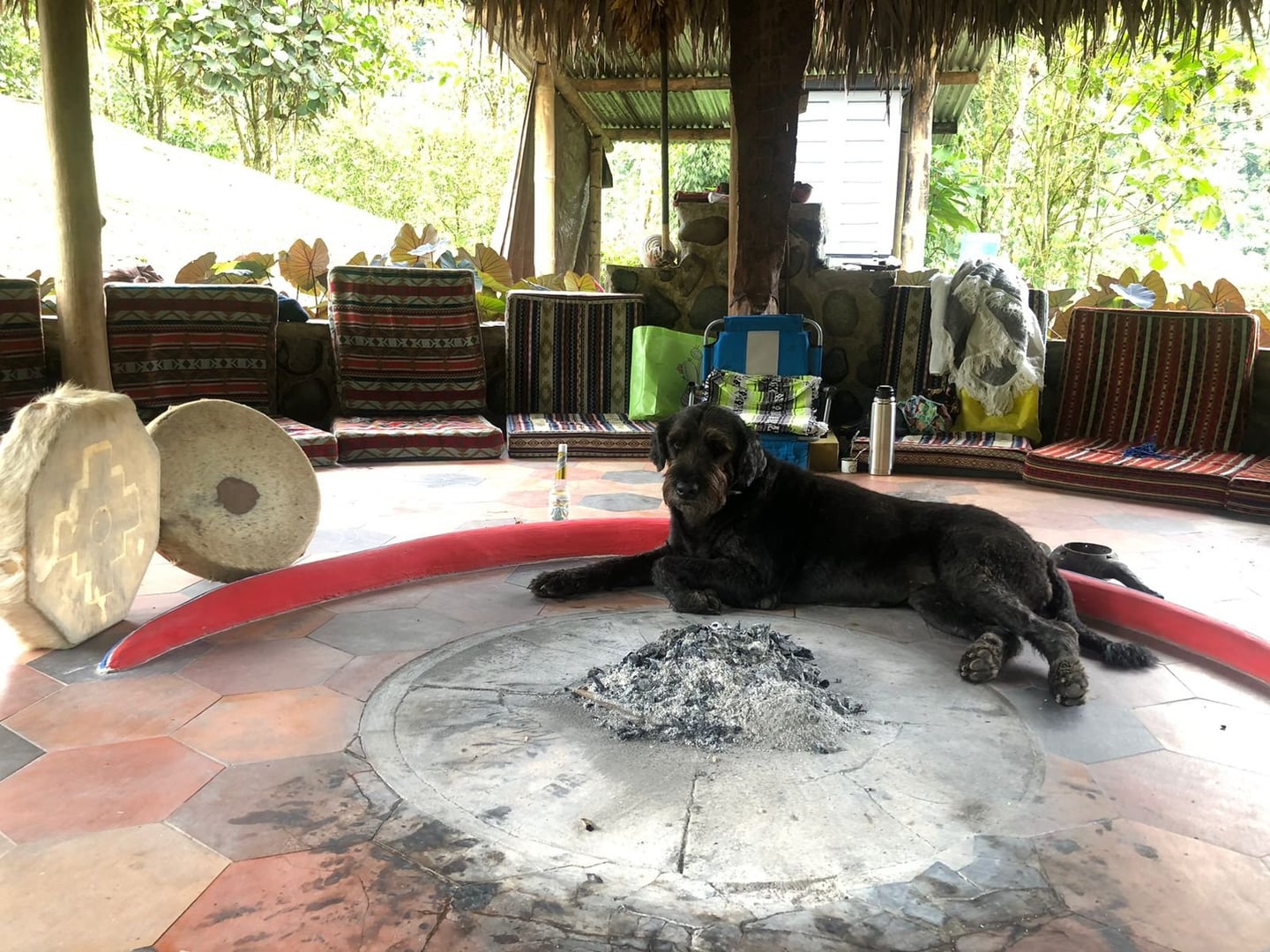 Ayahuasca-Tageszeremonie im Hayulima Natural Reserve