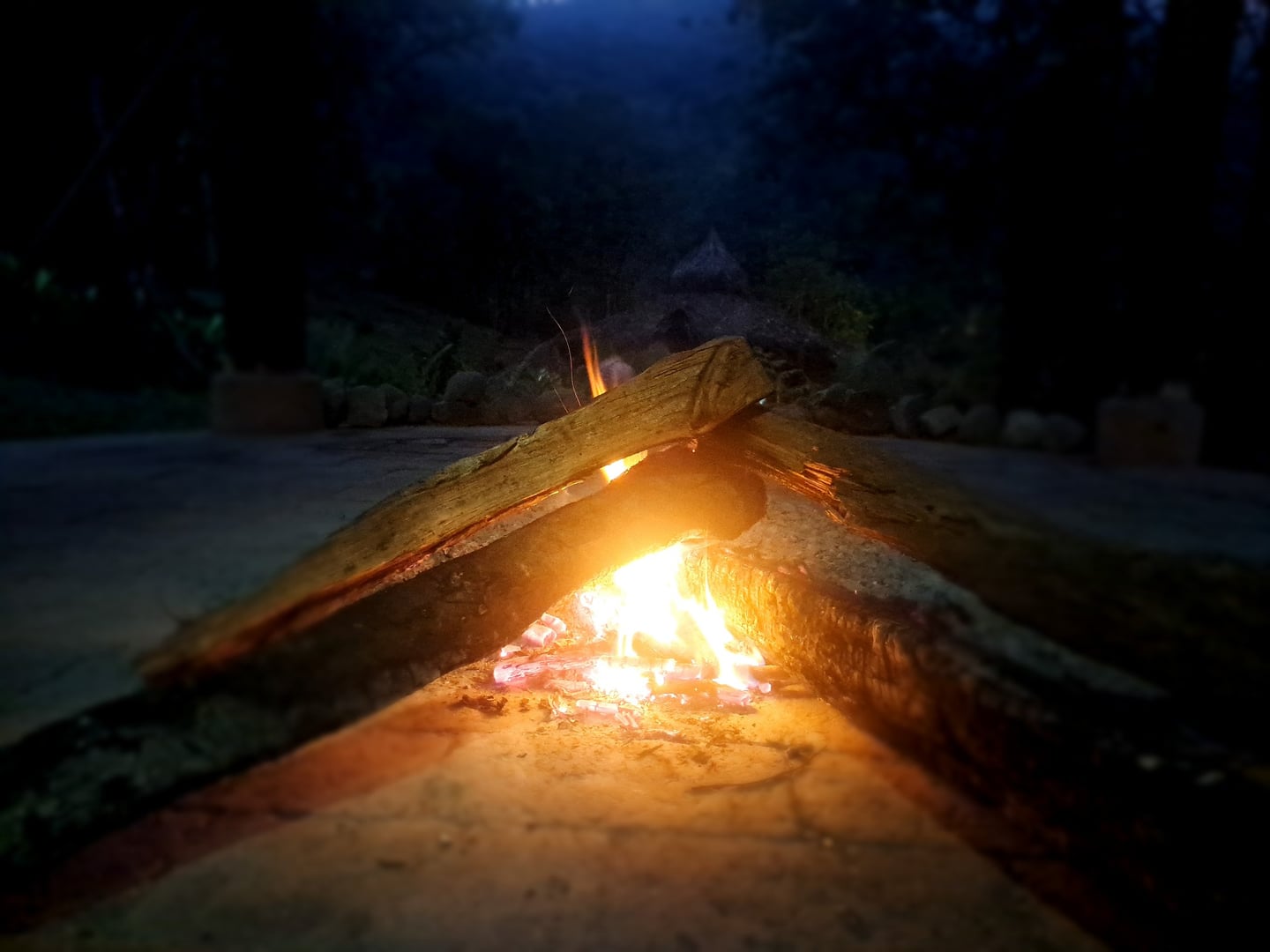 Ayahuasca-Tageszeremonie im Hayulima Natural Reserve