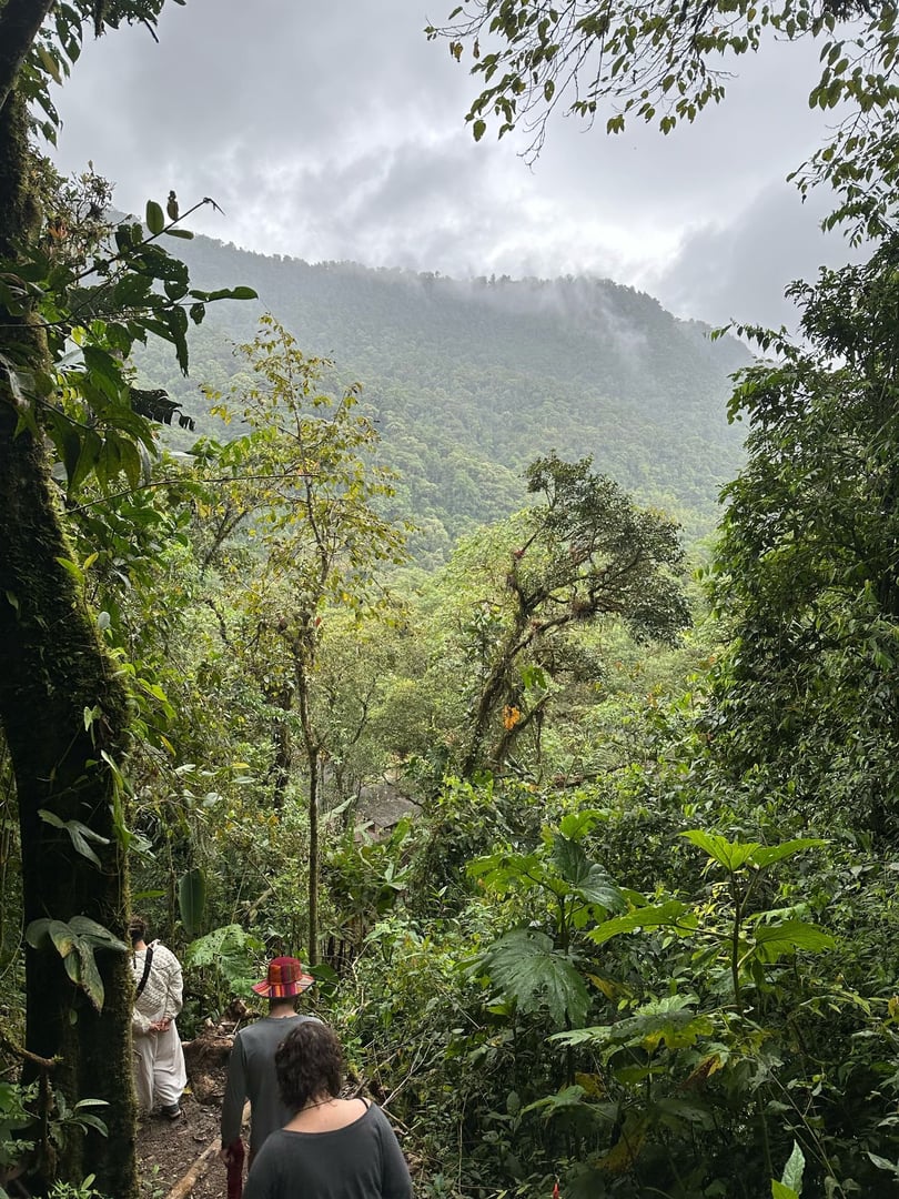 Ayahuasca-Tageszeremonie im Hayulima Natural Reserve