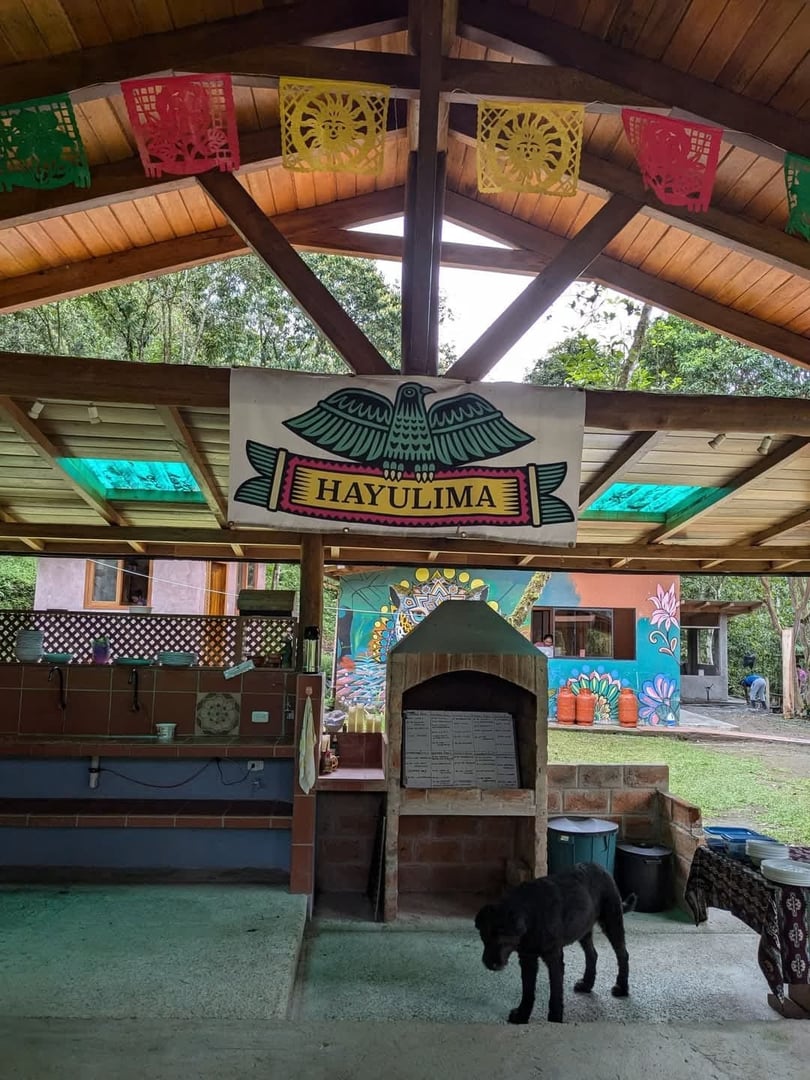 3-tägige – San Pedro und Ayahuasca – Wochenendreise
