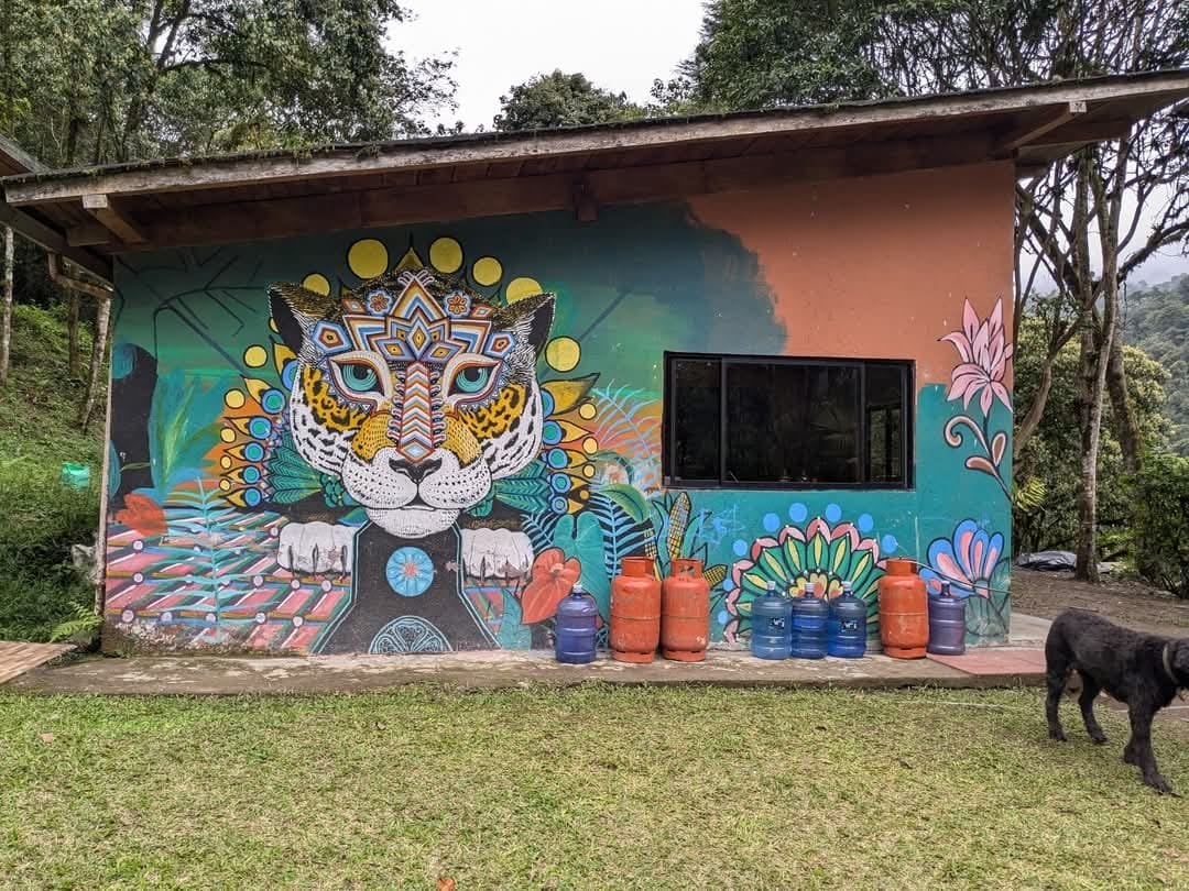 3-tägige – San Pedro und Ayahuasca – Wochenendreise