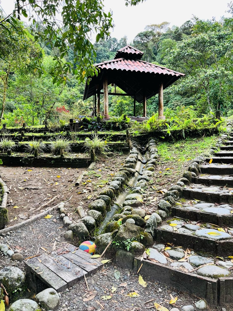 3-tägige – San Pedro und Ayahuasca – Wochenendreise