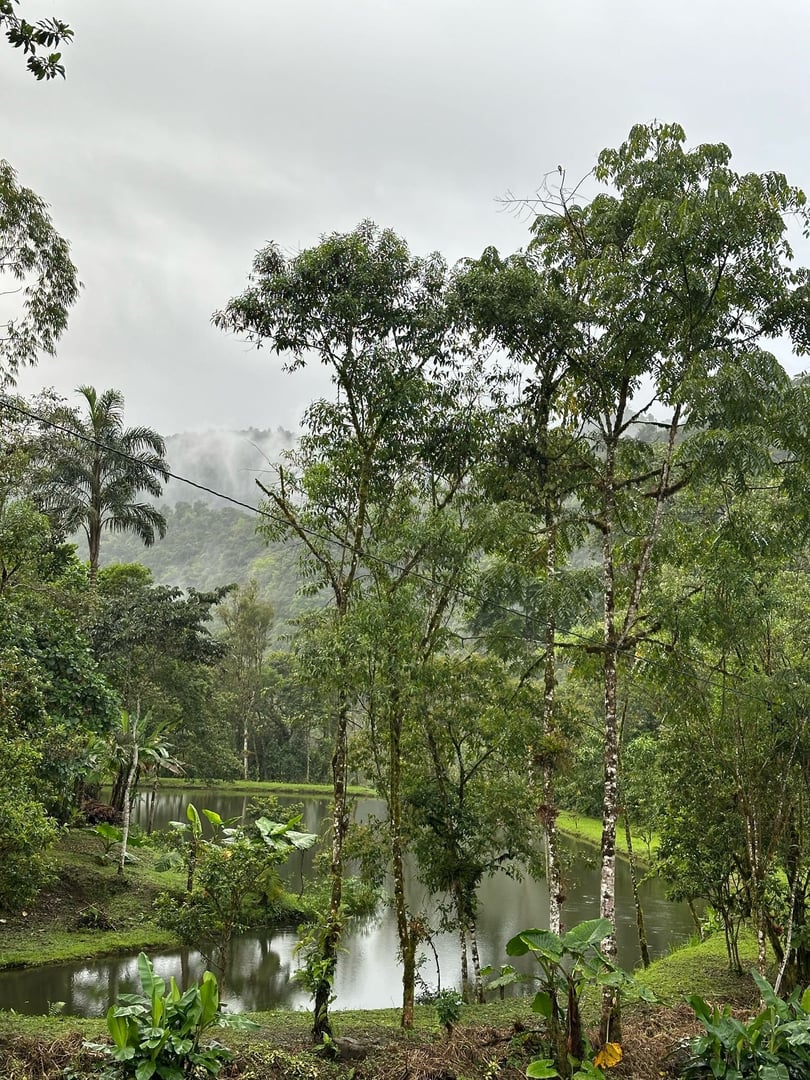 3-tägige – San Pedro und Ayahuasca – Wochenendreise