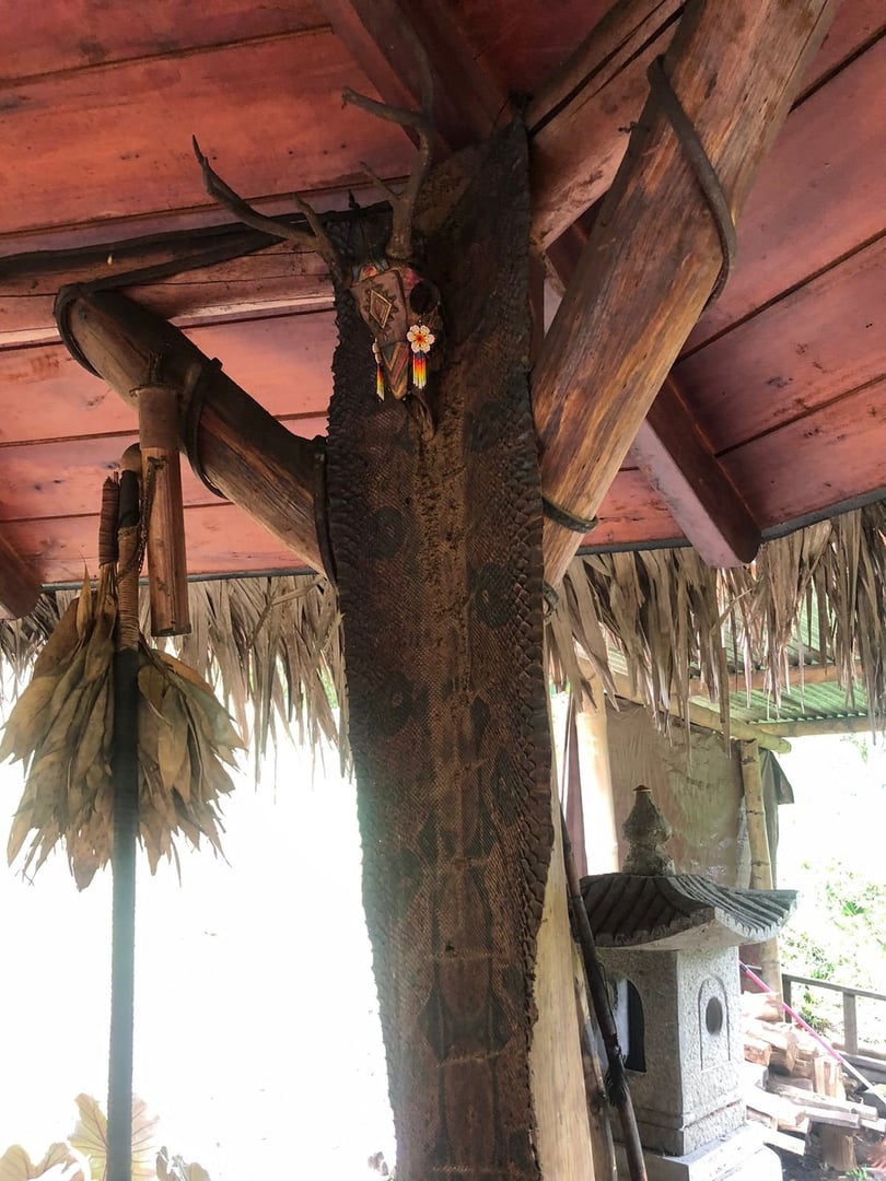 Ayahuasca-Zeremonie im Hayulima Natural Reserve – 11. Juli 2026
