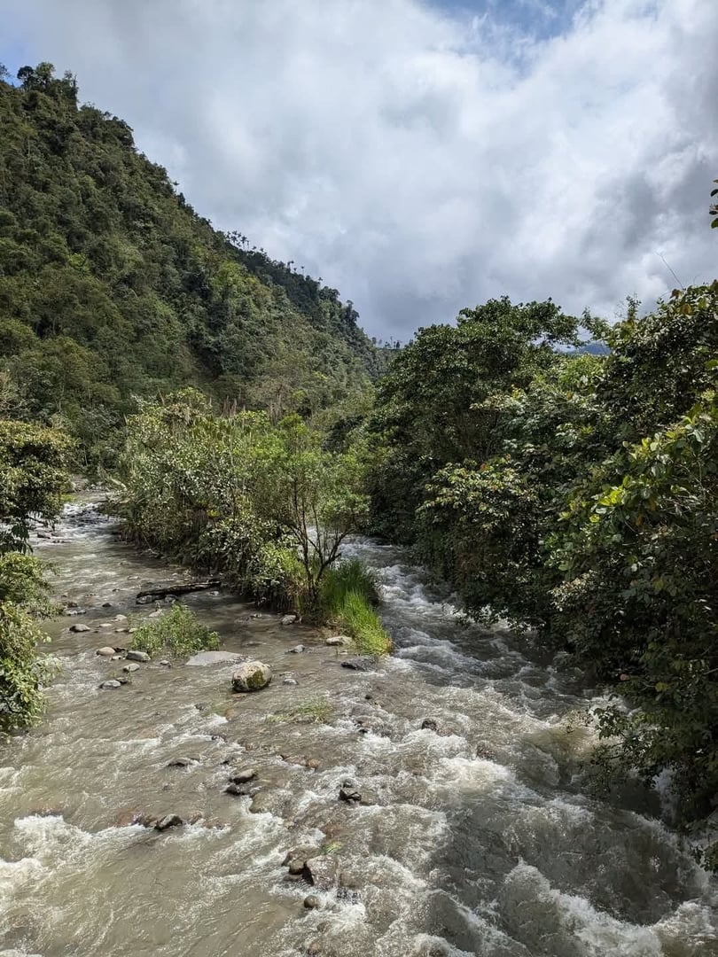 Ayahuasca-Zeremonie im Hayulima Natural Reserve – 11. Juli 2026