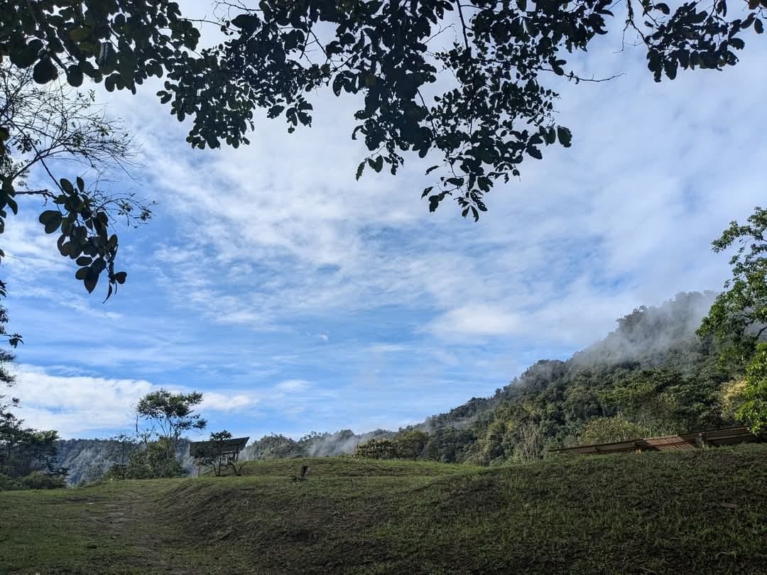 Ayahuasca-Zeremonie im Hayulima Natural Reserve – 11. Juli 2026