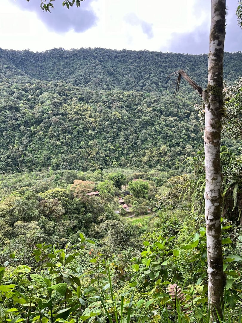 Ayahuasca-Zeremonie im Hayulima Natural Reserve – 11. Juli 2026