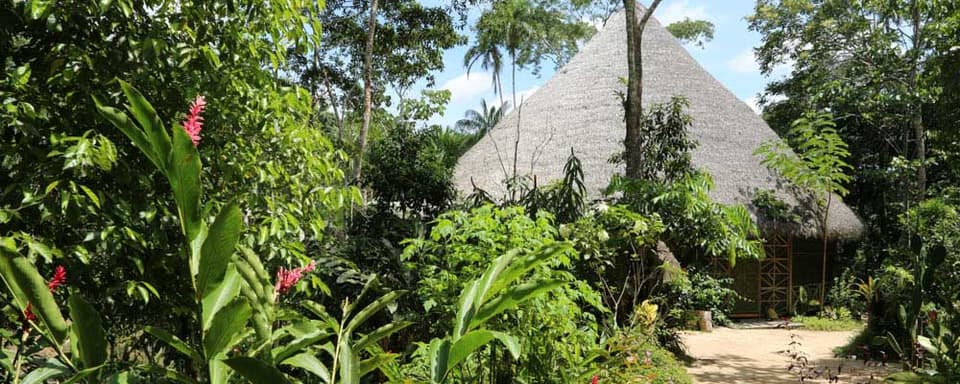 Living in Alignment: Ayahuasca-Heilungsretreat
