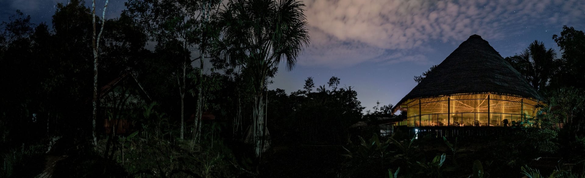 Ayahuasca-Heilungsretreat + 5-tägiges Integrationsretreat