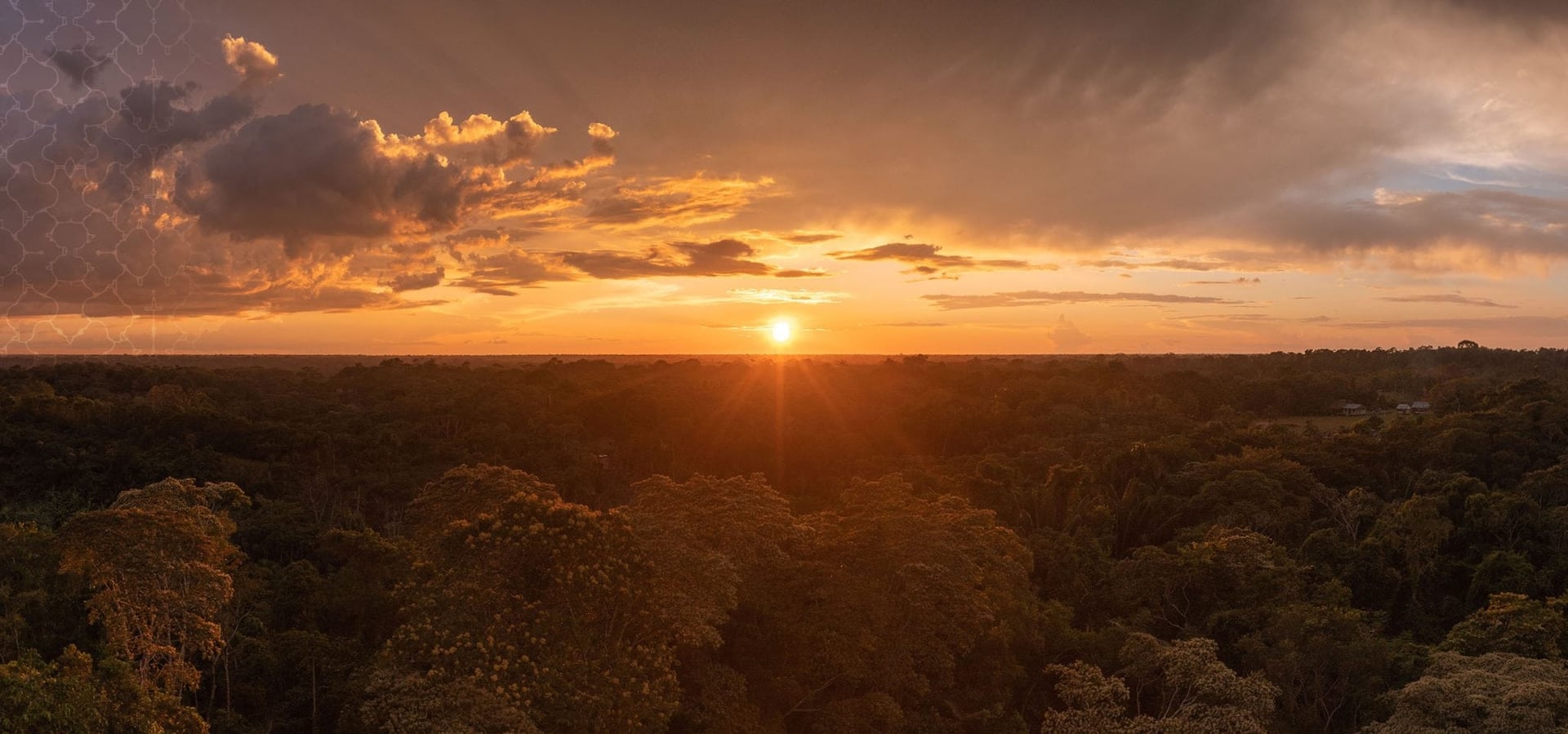 Ayahuasca-Heilungsretreat + 5-tägiges Integrationsretreat