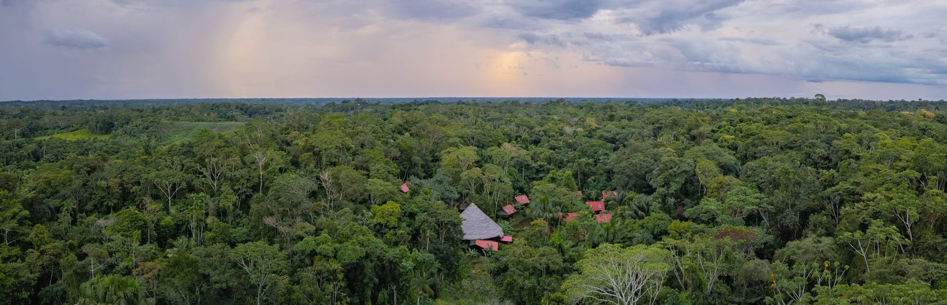 Ayahuasca-Heilungsretreat + 5-tägiges Integrationsretreat