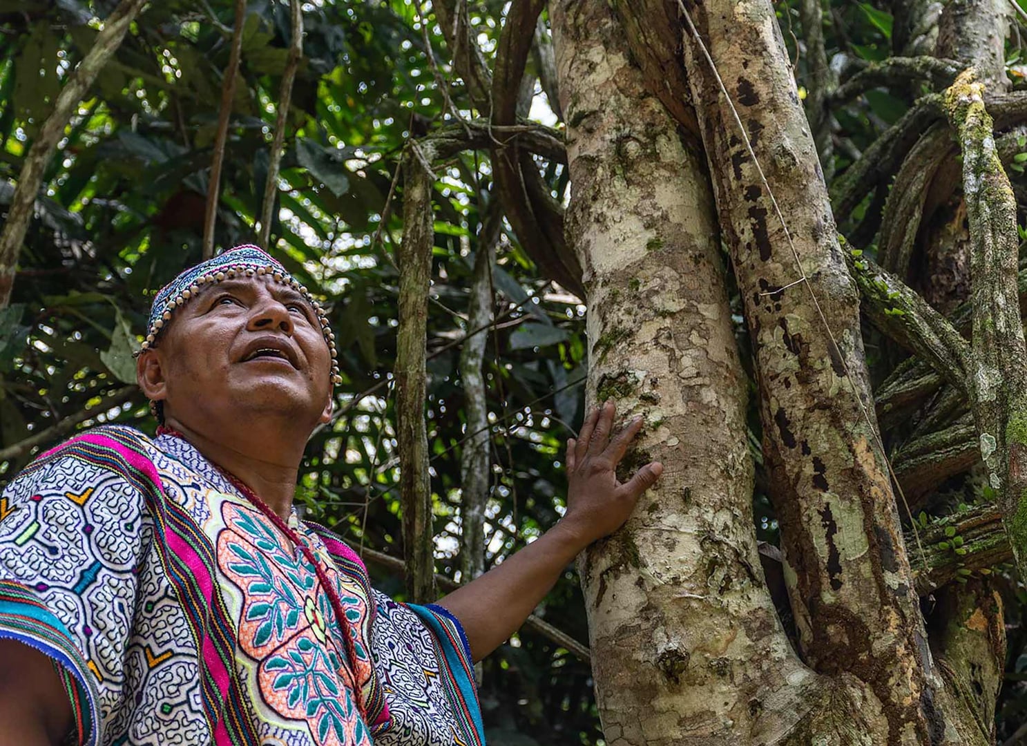Ayahuasca-Heilungsretreat + 5-tägiges Integrationsretreat