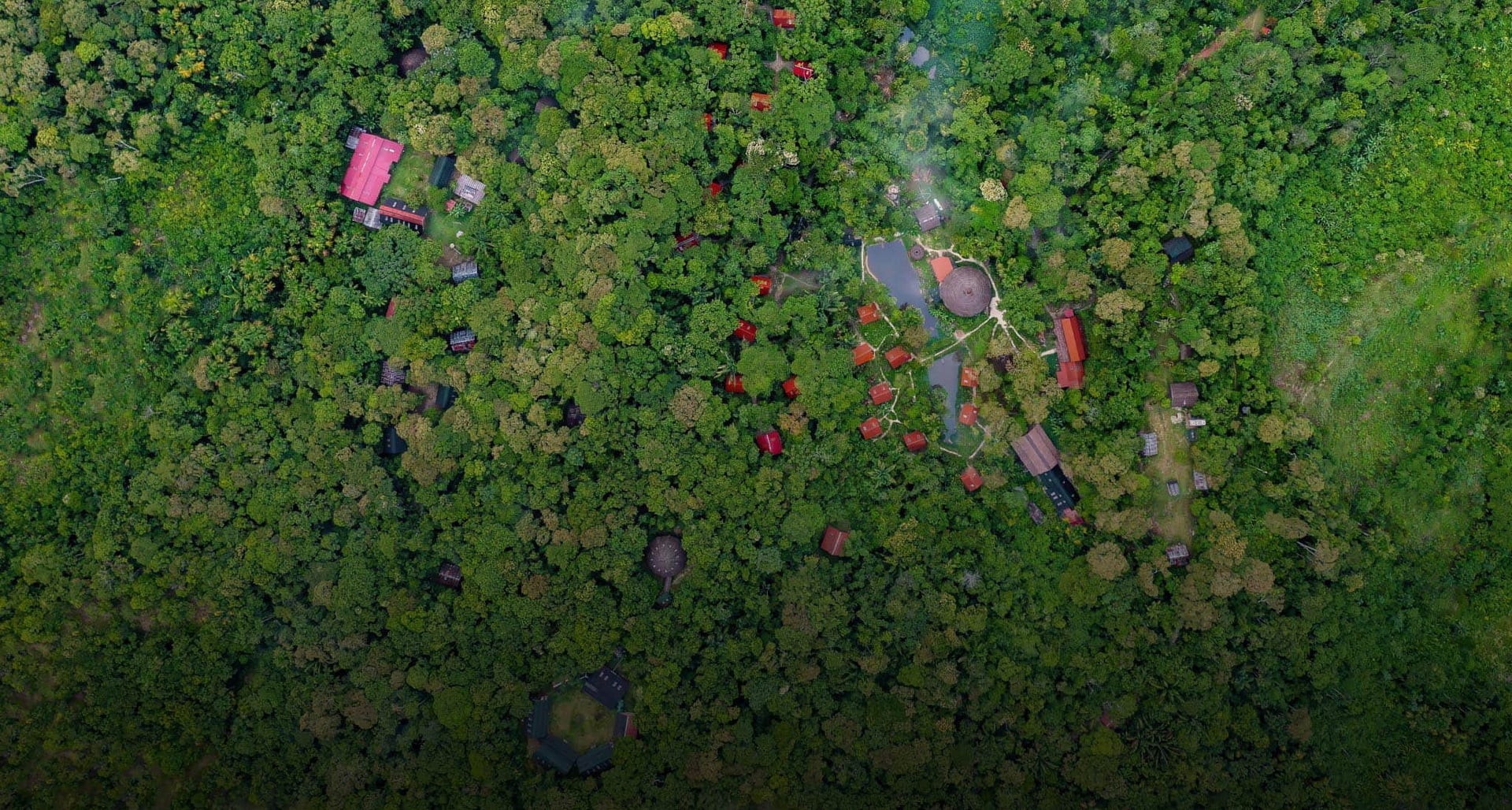 Ayahuasca-Heilungsretreat + 5-tägiges Integrationsretreat