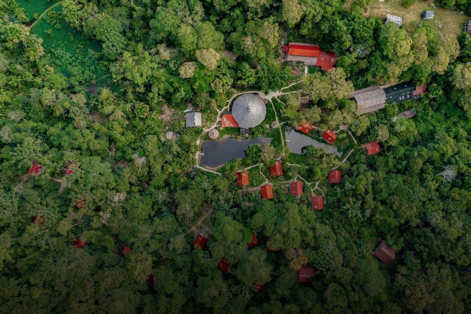Ayahuasca-Heilungsretreat + 5-tägiges Integrationsretreat