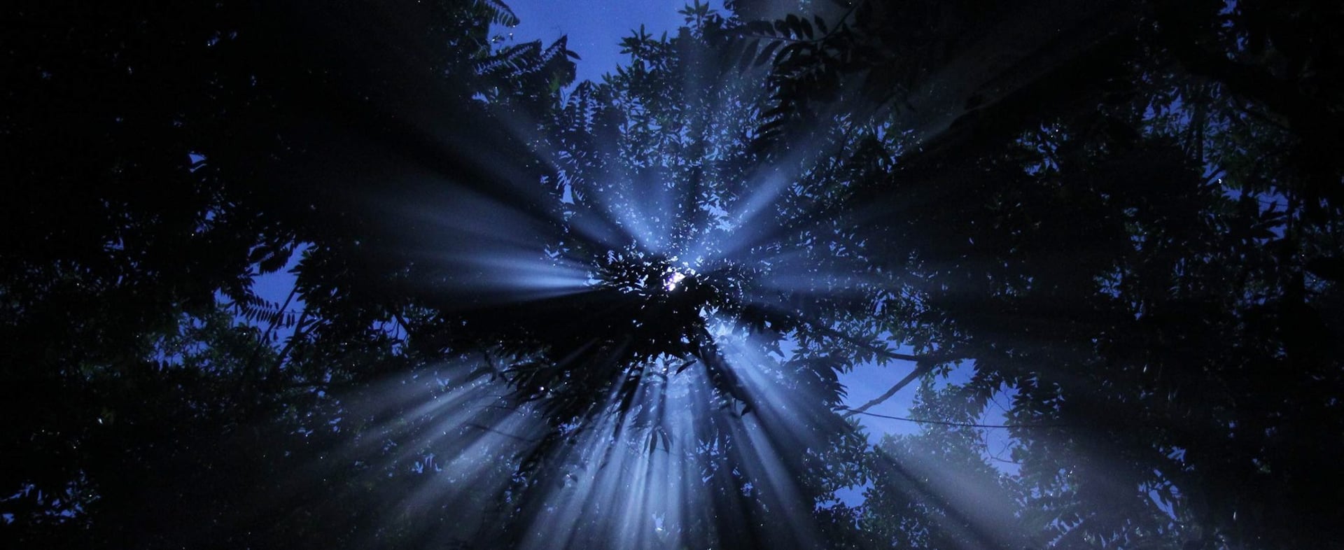 Ayahuasca-Heilungsretreat + 5-tägiges Integrationsretreat