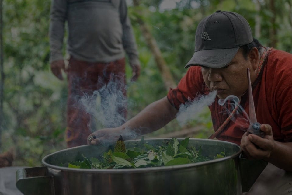 Ayahuasca-Heilungsretreat + 5-tägiges Integrationsretreat