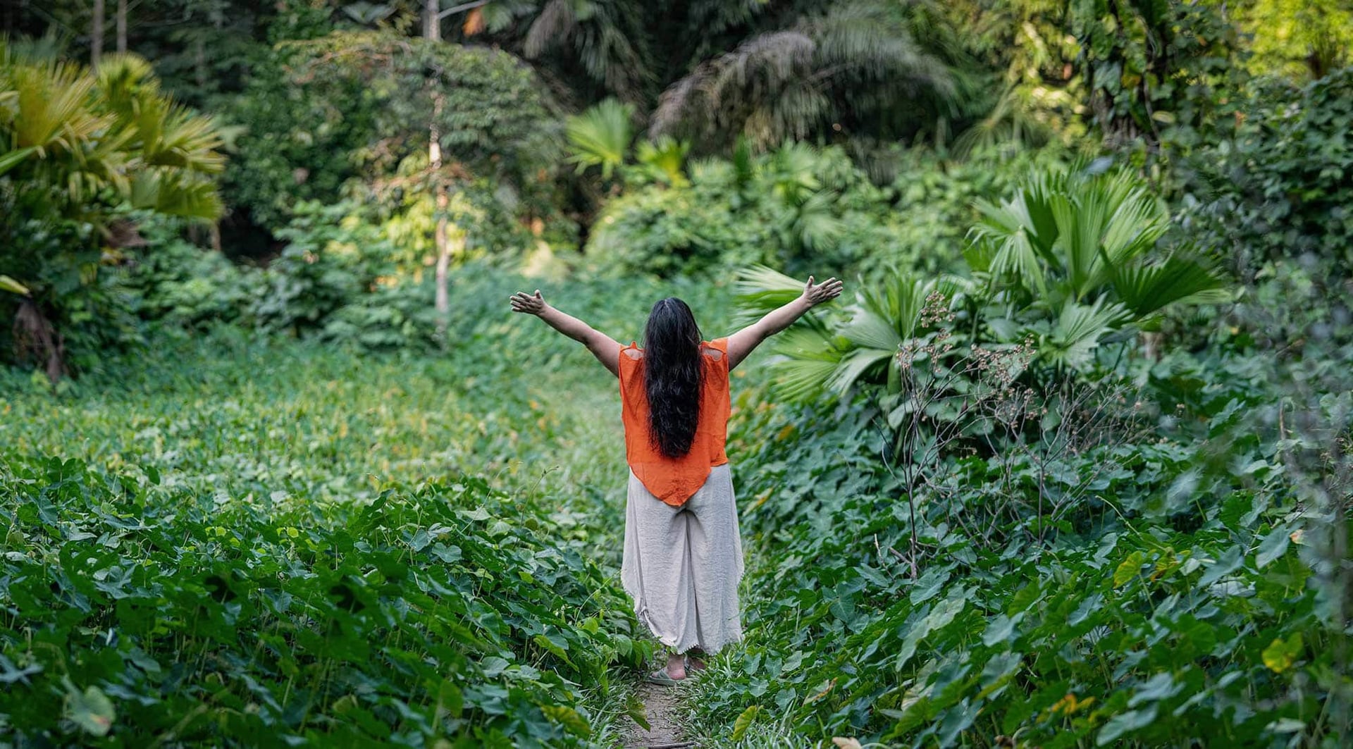 Ayahuasca-Heilungsretreat + 5-tägiges Integrationsretreat