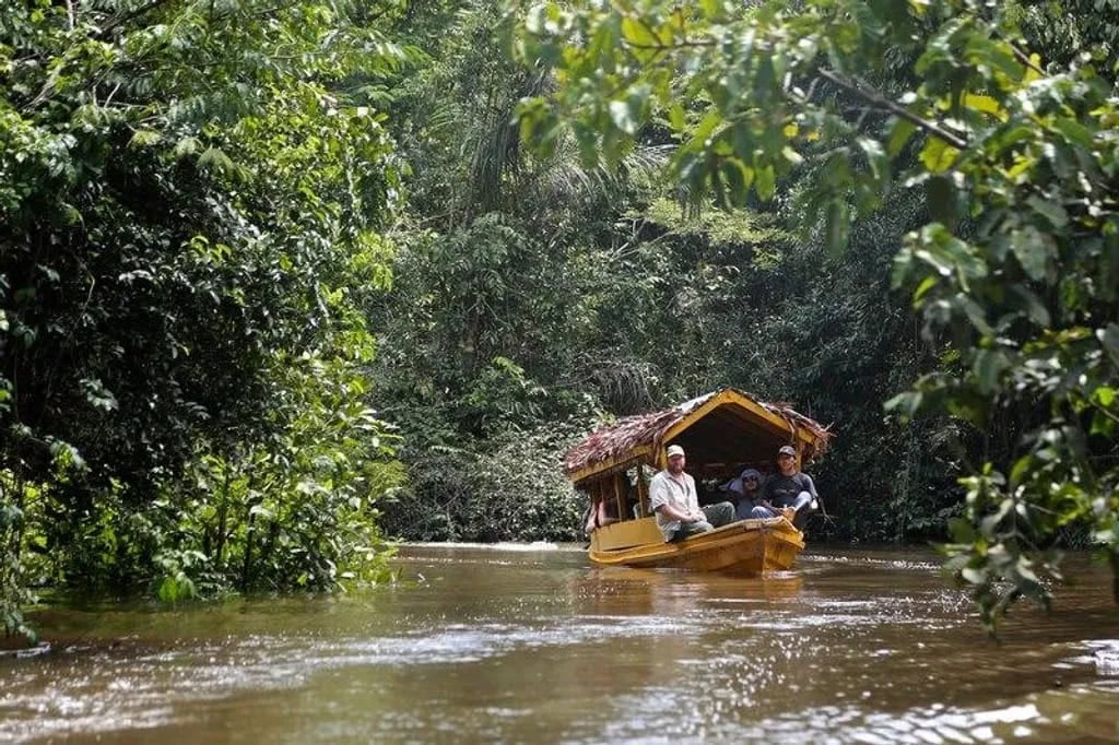 Ayahuasca-Heilungsretreat + 5-tägiges Integrationsretreat