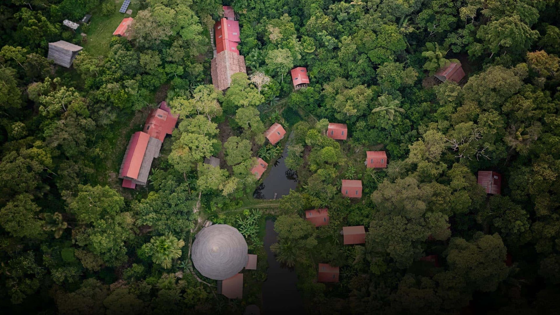 Ayahuasca-Heilungsretreat + 5-tägiges Integrationsretreat