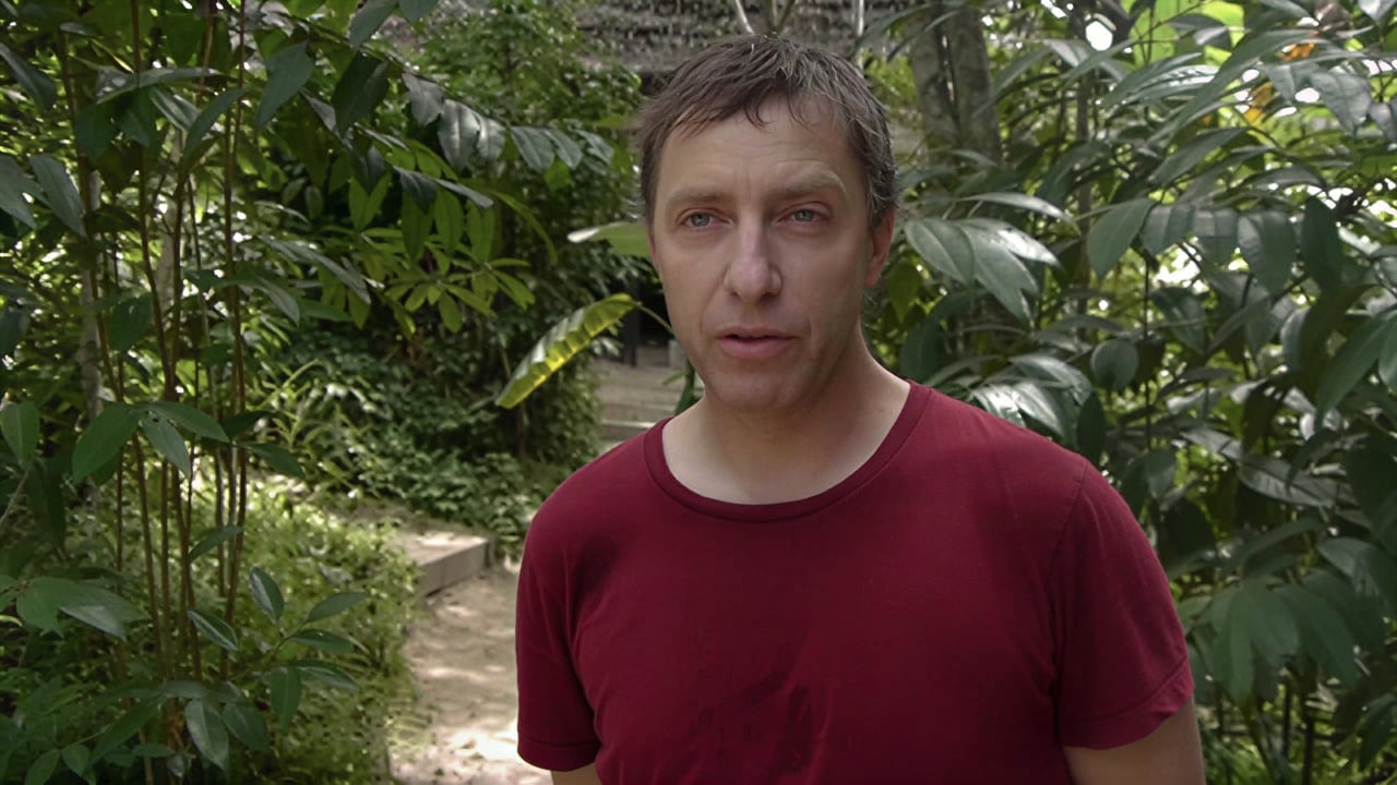 Ayahuasca-Heilungsretreat + 5-tägiges Integrationsretreat