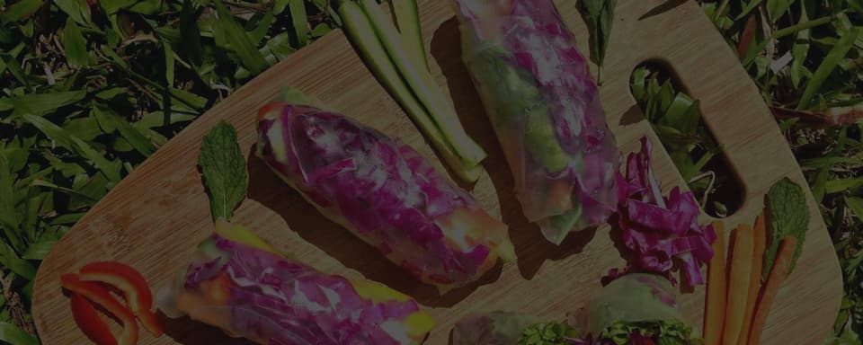 Ayahuasca-Heilungsretreat + 5-tägiges Integrationsretreat