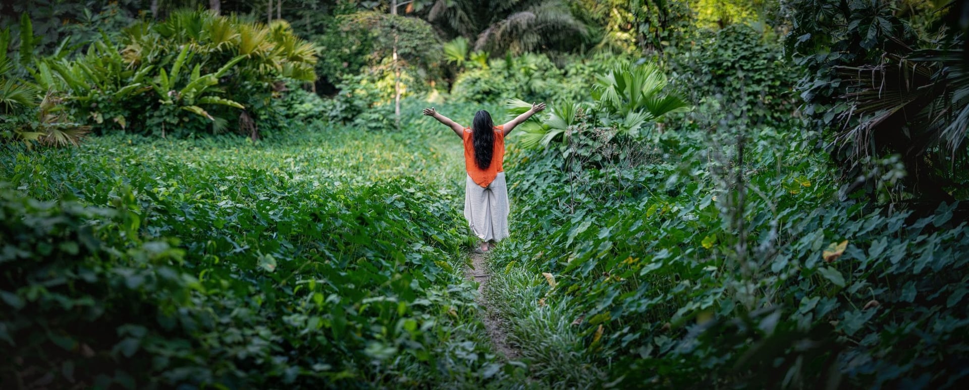 Ayahuasca-Retreat für Gesundheitspraktiker 2026