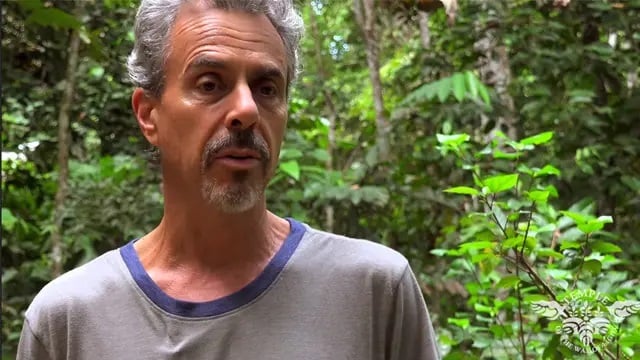 Ayahuasca-Retreat für Gesundheitspraktiker 2026