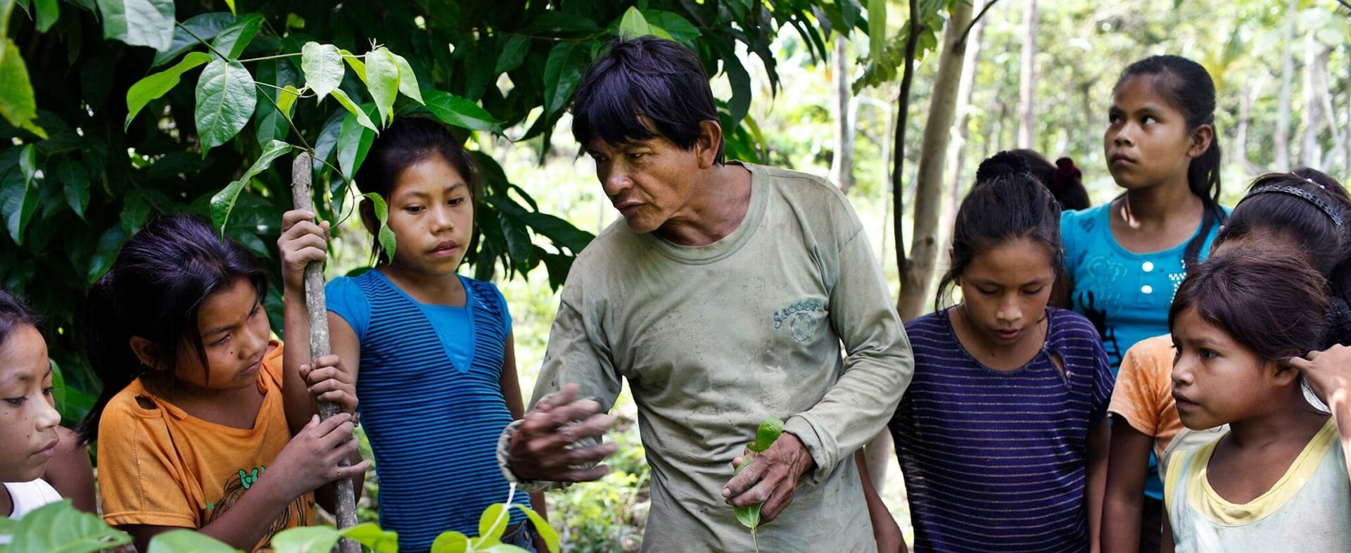 Living in Alignment Ayahuasca Heilungsretreat + 5-Tage-Integrations-Extension-Retreat