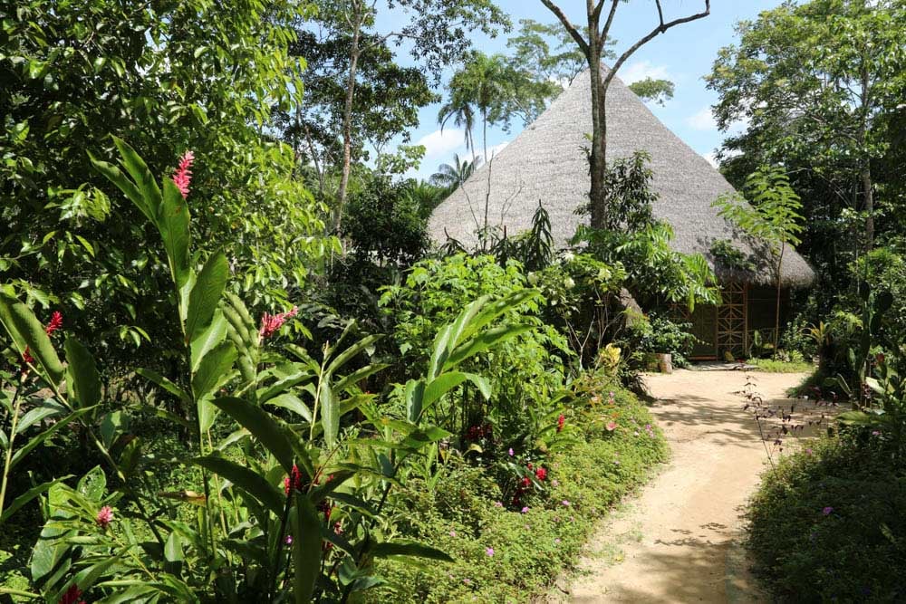 Living in Alignment Ayahuasca Heilungsretreat + 5-Tage-Integrations-Extension-Retreat