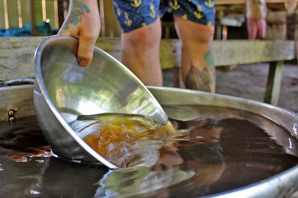 Vierwöchiger Ayahuasca-Heilungs- und Empowerment-Kurs