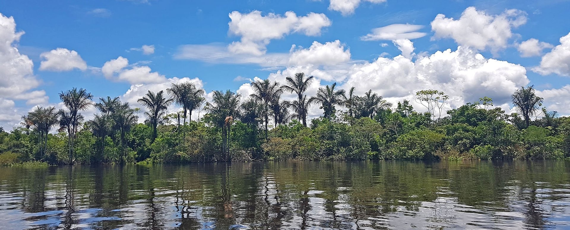 10-tägiges Ayahuasca-Retreat für Frauen