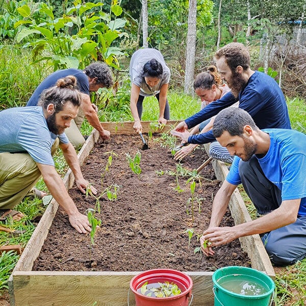 Achtwöchiger Shipibo-Ayahuasca-Einführungskurs in Peru – 5. Juli - 29. August 2026