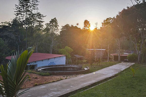 Achtwöchiger Shipibo-Ayahuasca-Einführungskurs in Peru – 5. Juli - 29. August 2026