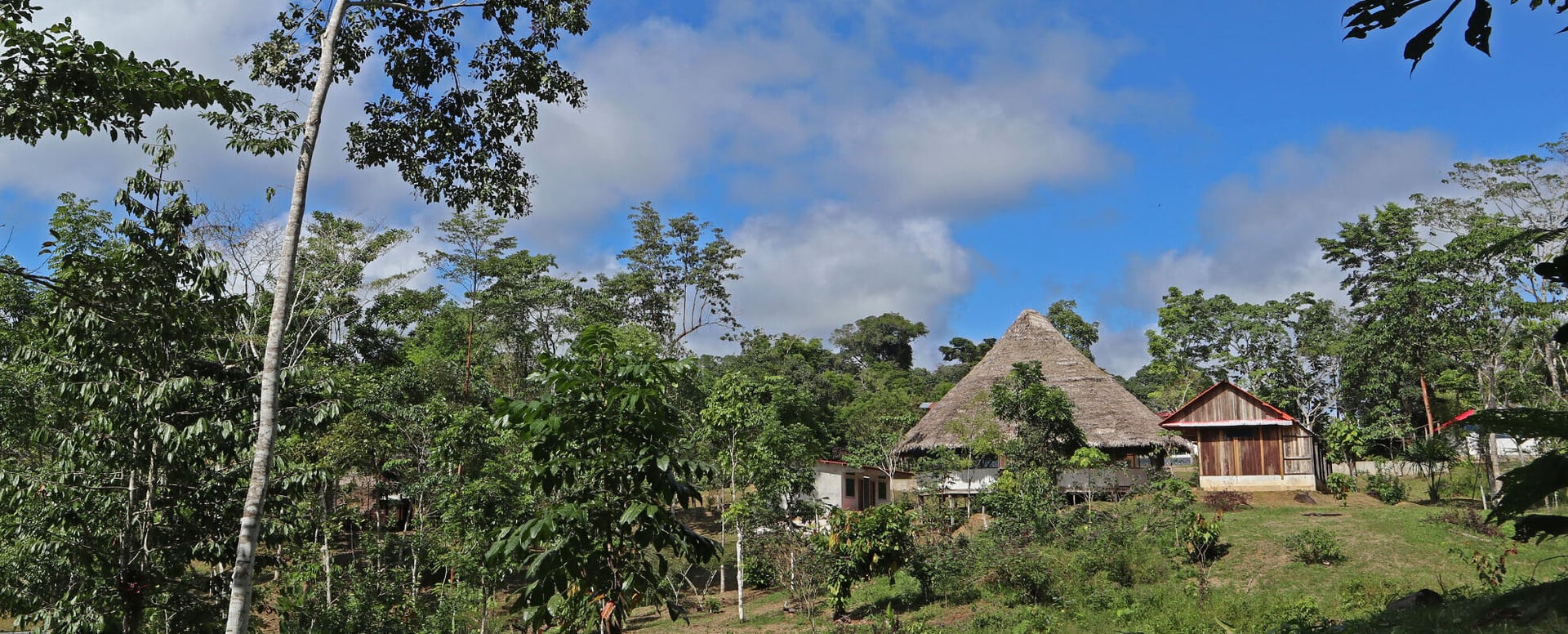 Achtwöchiger Shipibo-Ayahuasca-Einführungskurs in Peru – 5. Juli - 29. August 2026