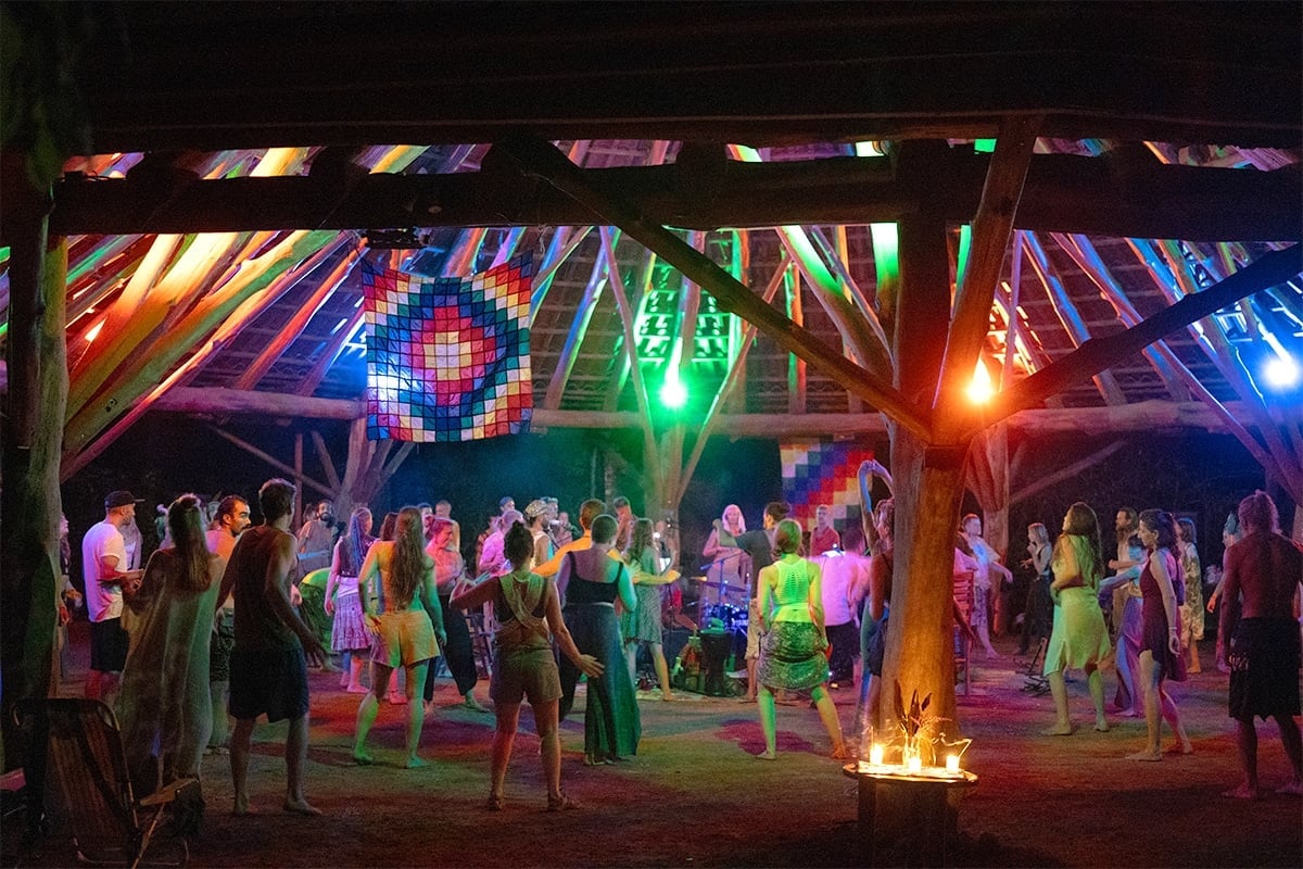 Dancing Mycelia Sonnenuntergangs-Event