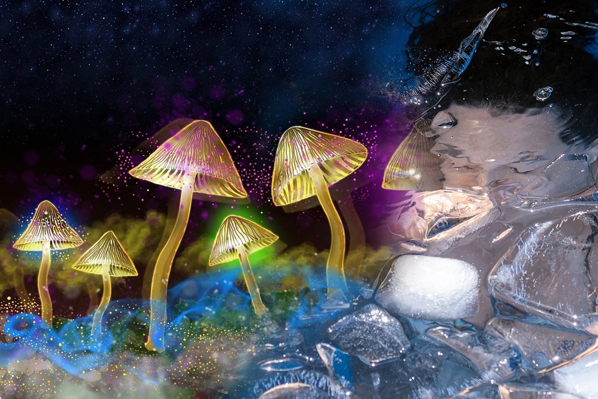 Die Mycelia-Pfade-Zeremonie