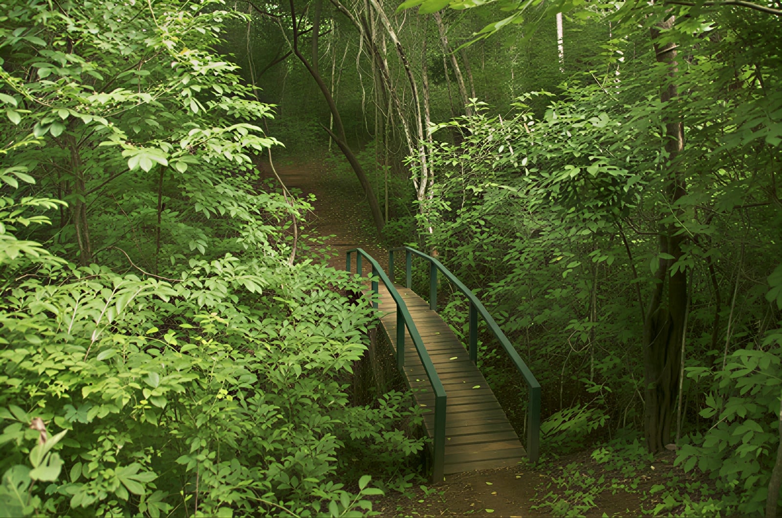 Silent Retreat-Paket – Juli 2026