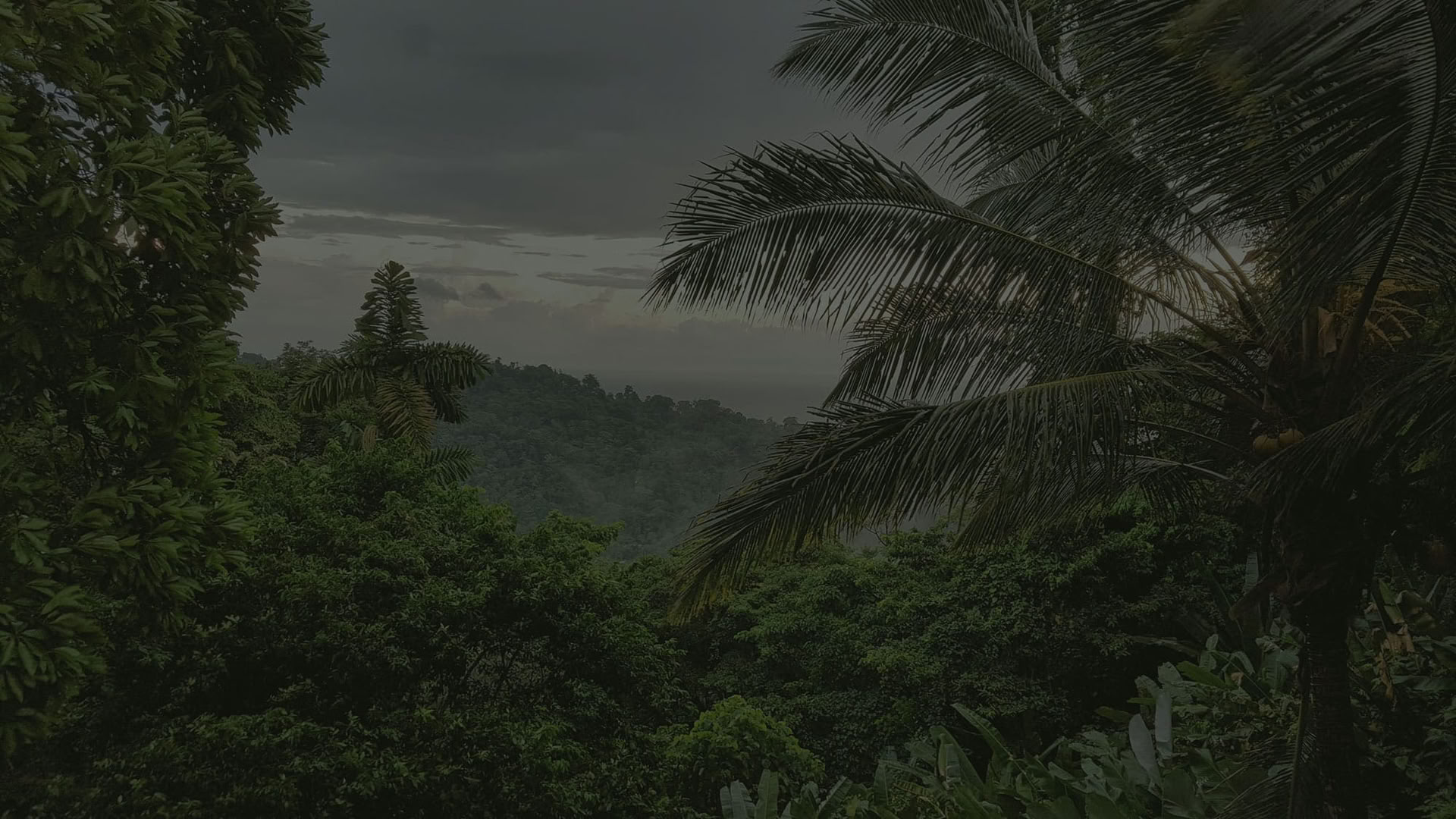 Privates Yoga- & Wellness-Retreat