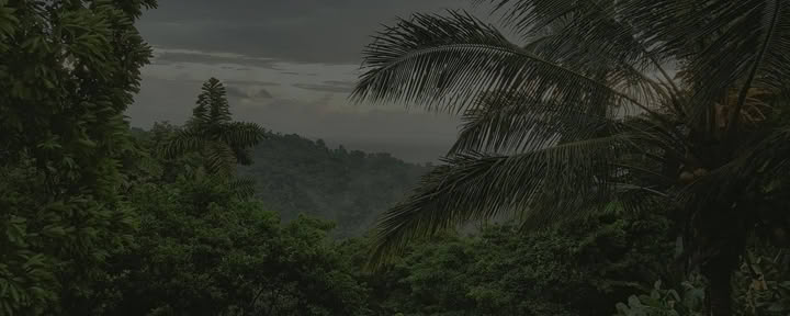 Privates Yoga- & Wellness-Retreat