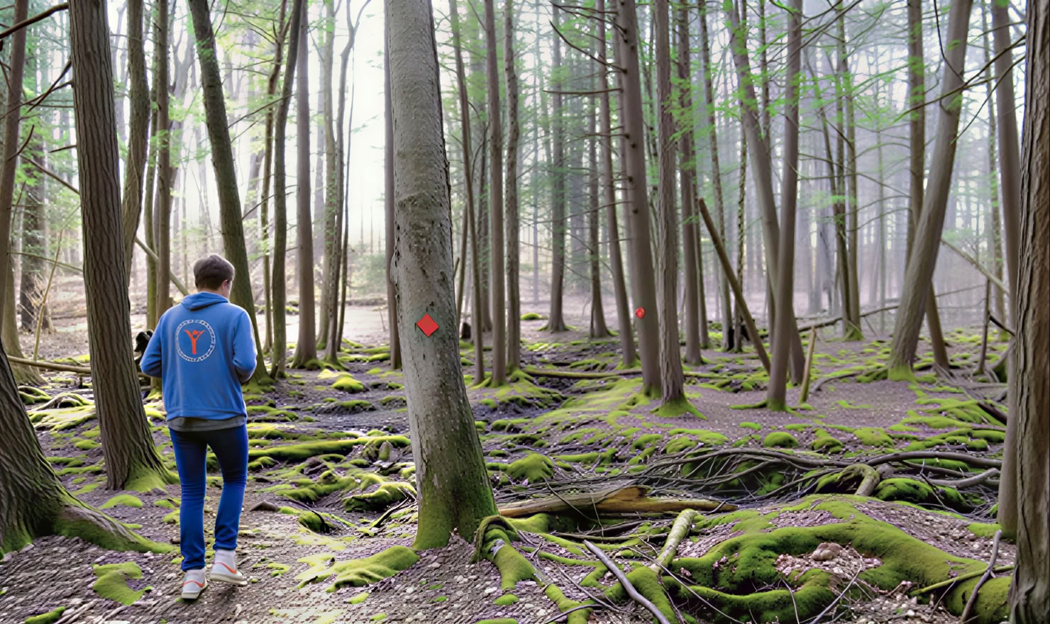 Restoring Ojas – Ayurvedisches Wochenend-Retreat