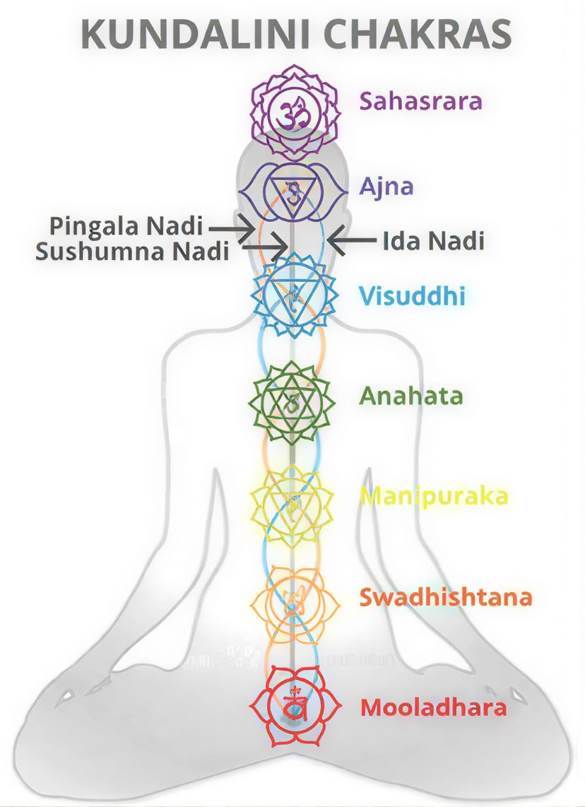 Osho Dynamische & No-Mind-Meditationen. Beim Festival Mandala