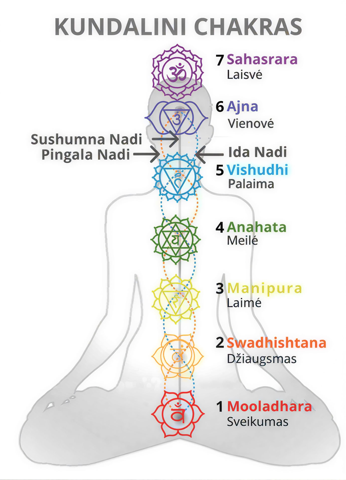 Meditativer Seminar