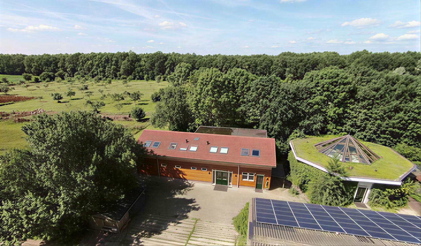 Fortgeschrittenes Essence Natur-Retreat für Männer (4-tägig)