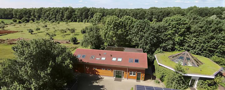 Fortgeschrittenes Essence Natur-Retreat für Männer (4-tägig)