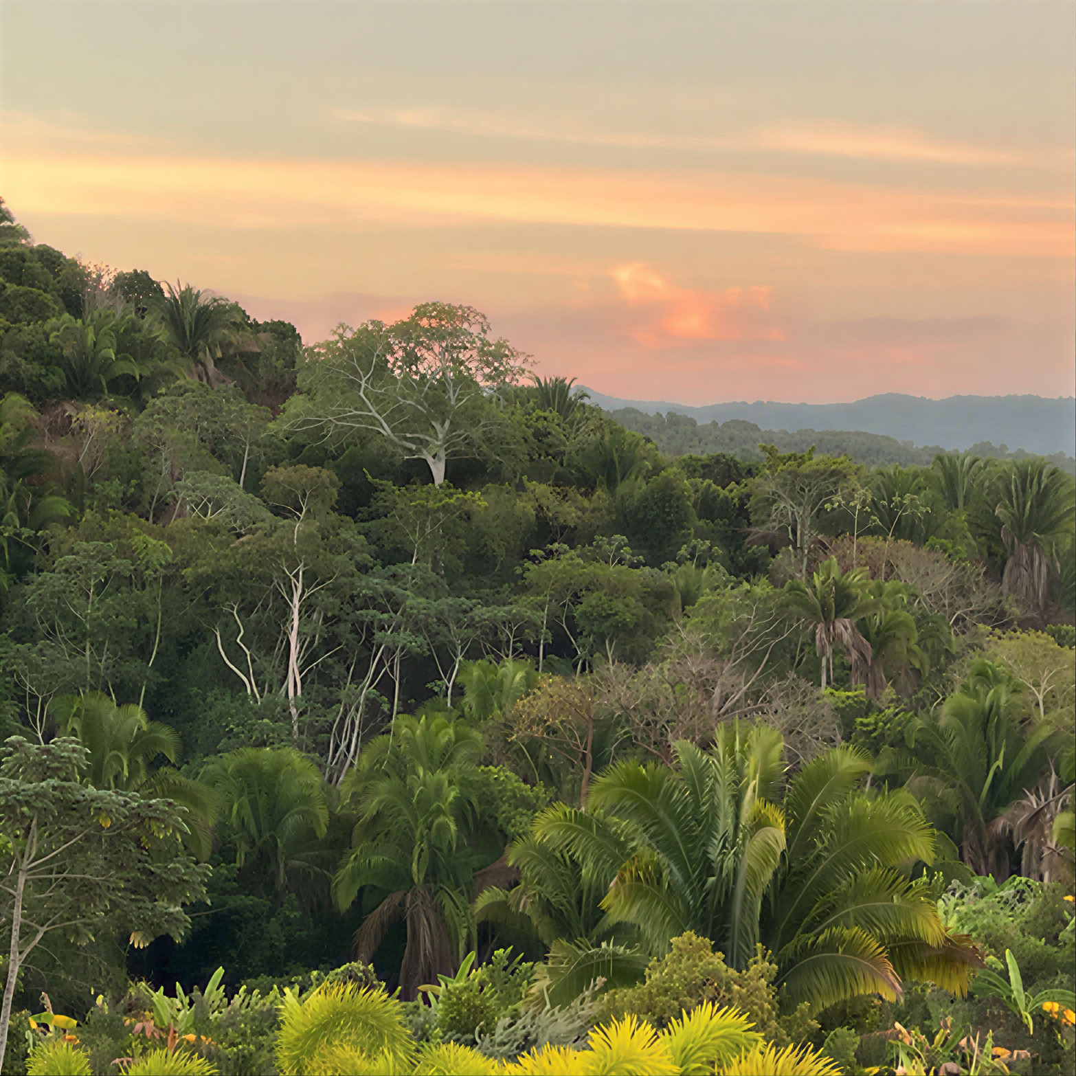 Birding, Yoga & Wohlbefinden Retreat