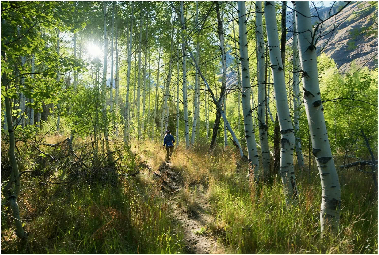 Herz des Berges Sesshin: Ein Backpacking-Sesshin im Bells Mountain Dharma Center